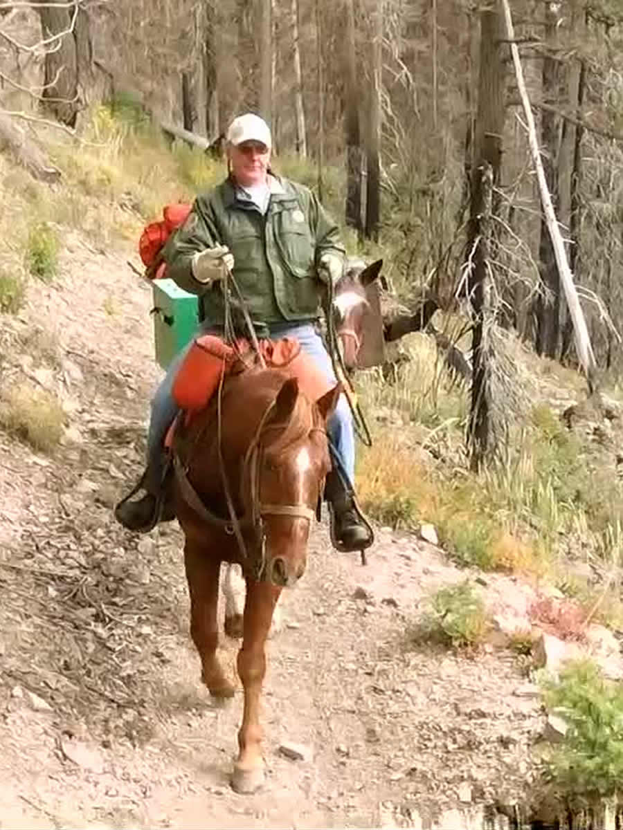 Packing in the Montana back country.